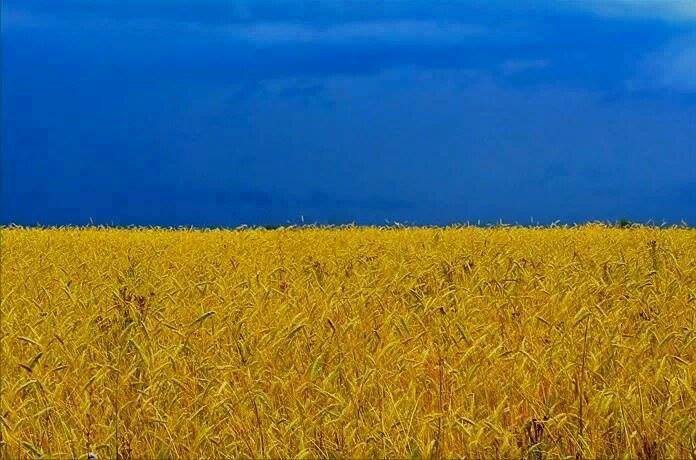 Apkabinu Ukrainą